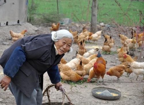 农村社保每年交100元,交完十五年,以后领养老