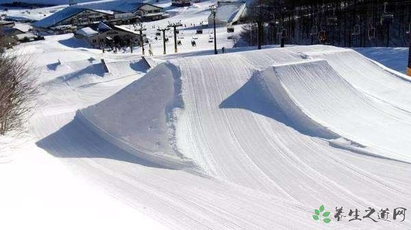 日本滑雪场雪崩 雪崩天气发生前都有哪些征兆