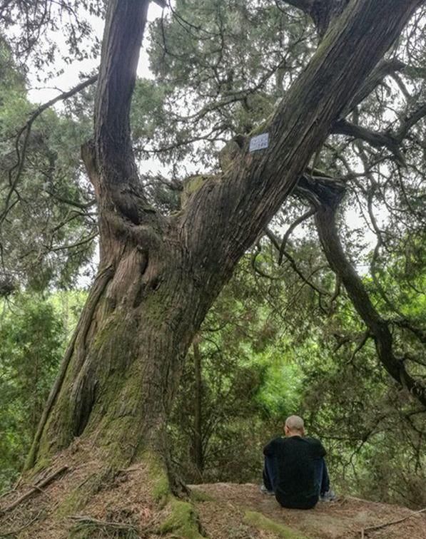 广元旅行，穿越古今历史，行走剑门蜀道，从汉阳铺到抄手铺！