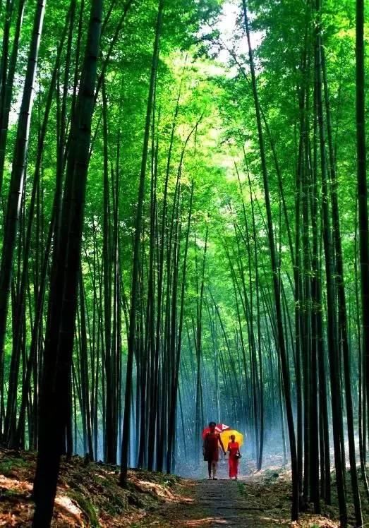 看瀑布不必去看黄果树，还有这些性价比超高的景点不被人知道