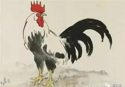 属鸡2019年运势运程 生肖鸡2019年运势大全