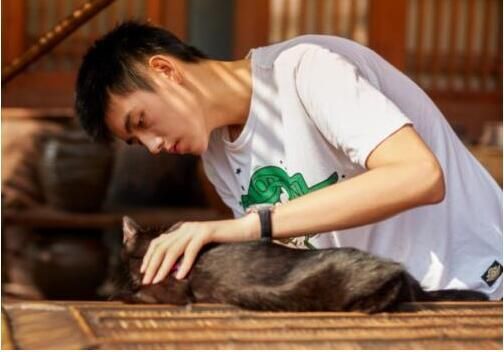 山寨版四大流量小生已出,吴亦凡、李易峰、鹿