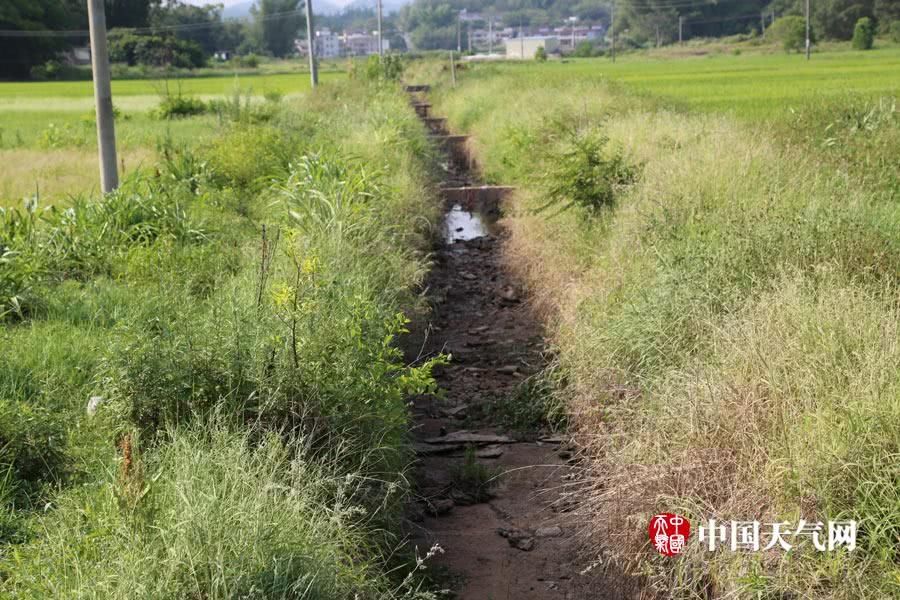 广东高温破纪录 多地旱情持续