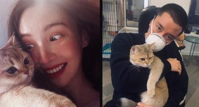 贾乃亮金晨两年前就已生情?曾晒两人聊天记录