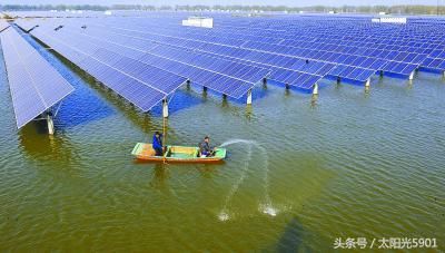 刘强东养鸡,我光伏养猪!