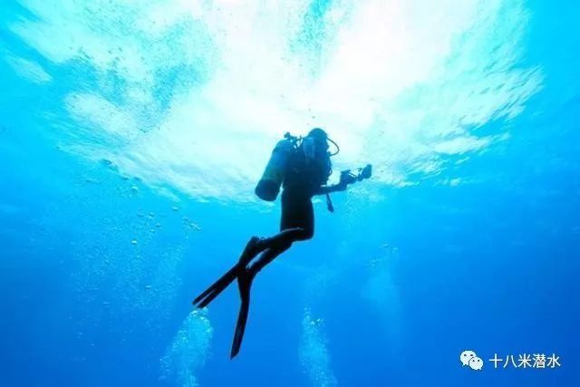 走肾系:潜水员对潜水的感悟,一本正经到吓人