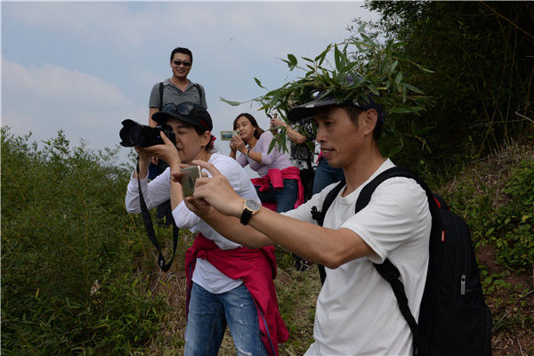 新昌回山籍乡贤回家领略家乡风光 建言乡村旅