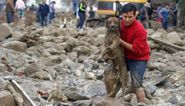 玻利维亚小镇突发泥石流 宠物狗被救暖人照引