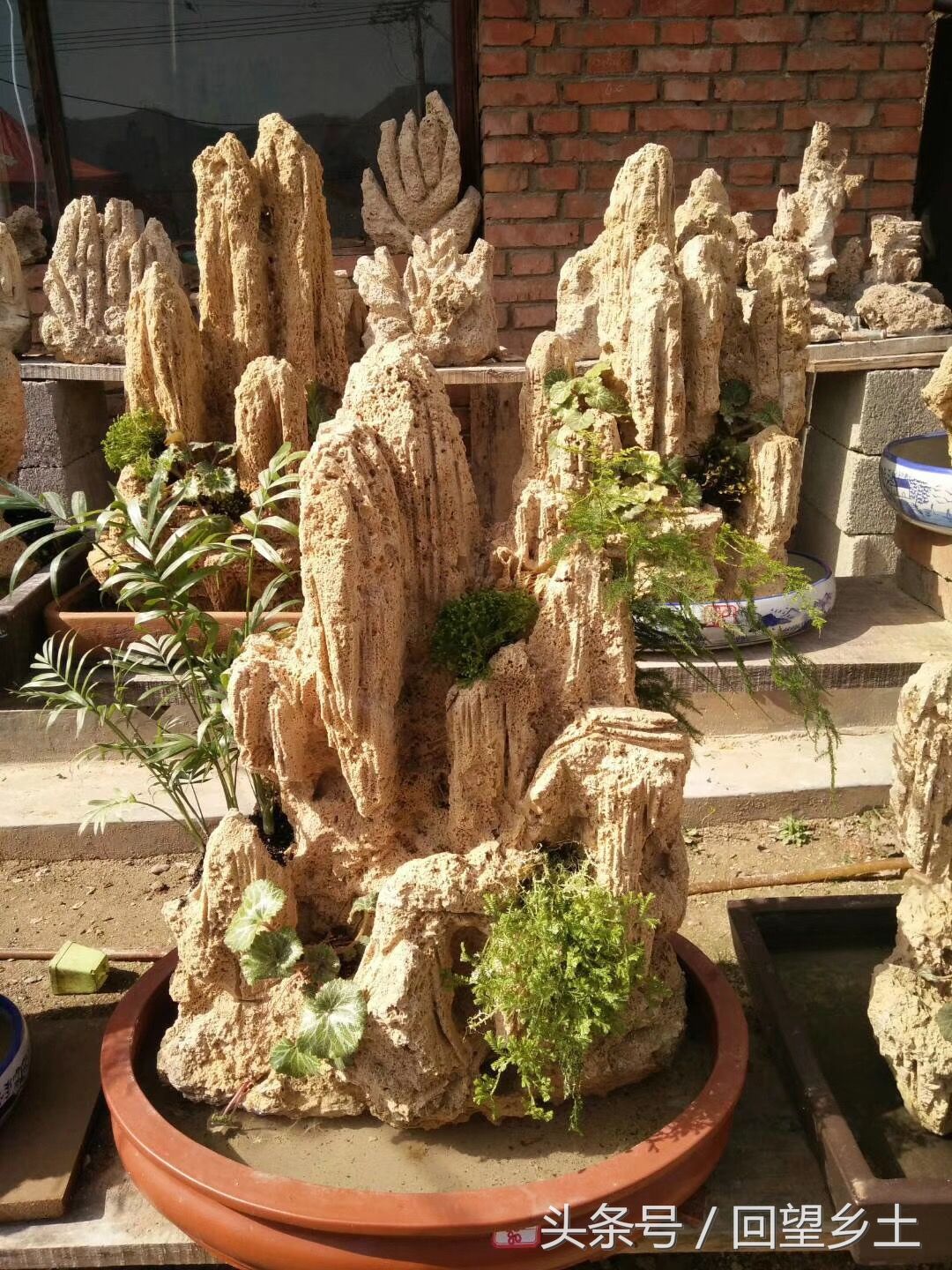 豫西卢氏山区有种石头叫上水石稍加雕琢就是一件盆景作品喜欢吗?