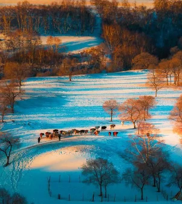 实拍张家口草原天路大雪，这样的寂静你见过吗