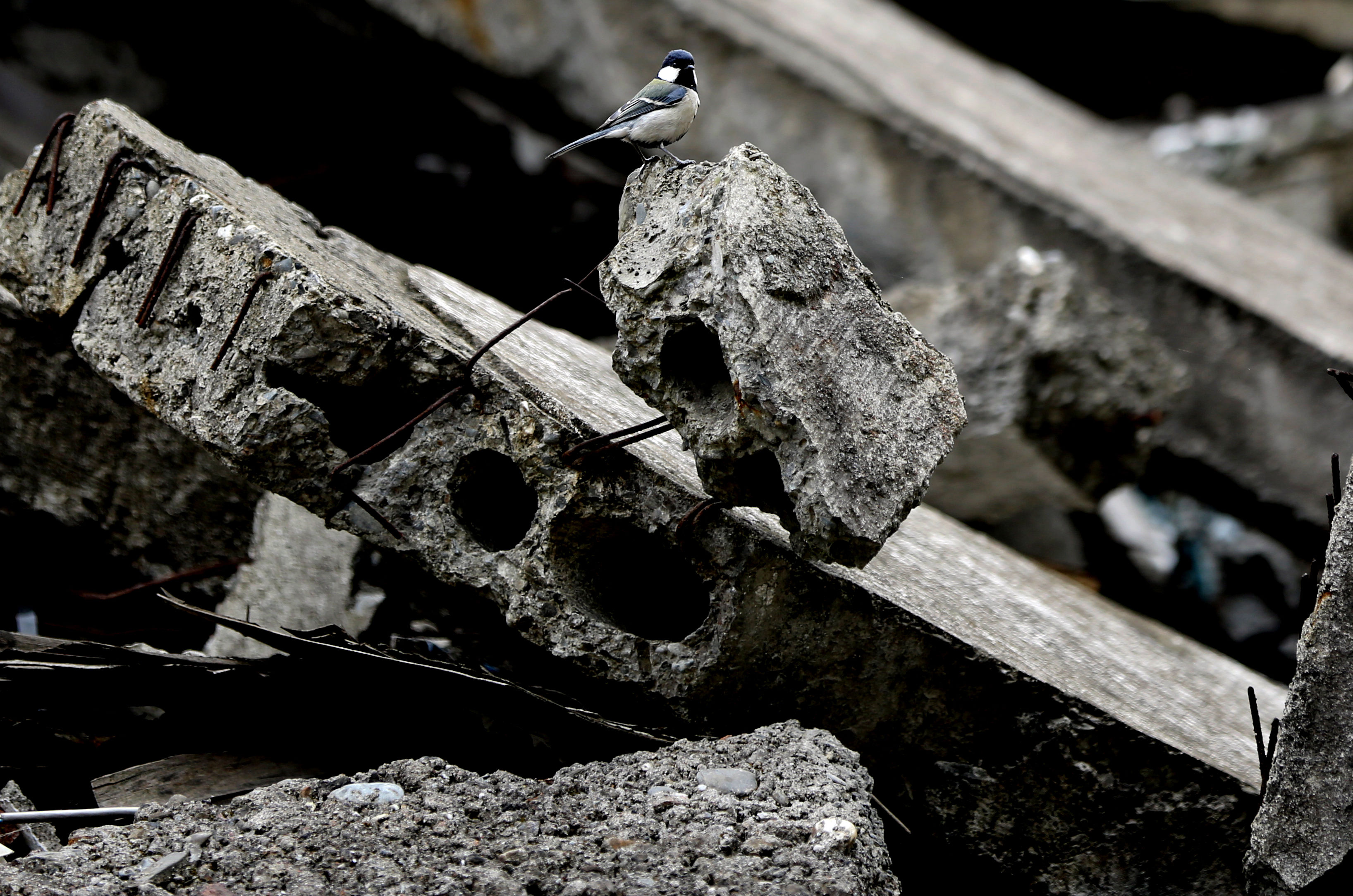 硬盘深处:汶川地震十周年祭老城封闭 遗址保护