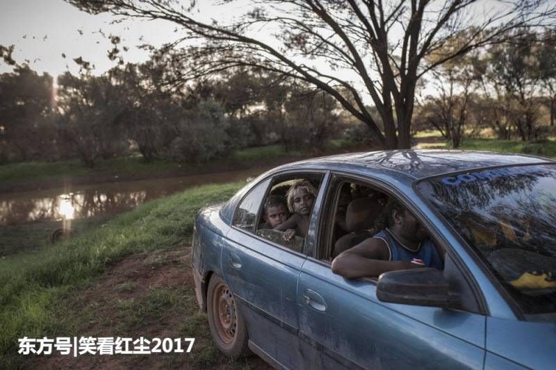 来自澳大利亚的有趣照片 来自澳洲的那些趣事，袋鼠乱穿马路，蛇