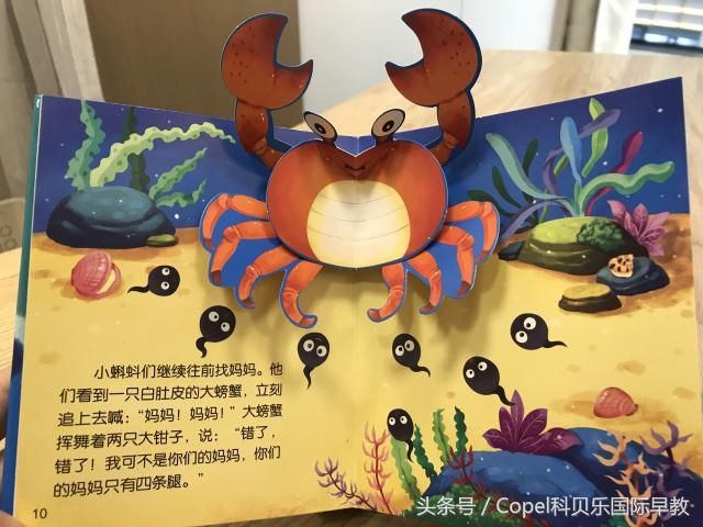 立体互动绘本故事《小蝌蚪找妈妈》
