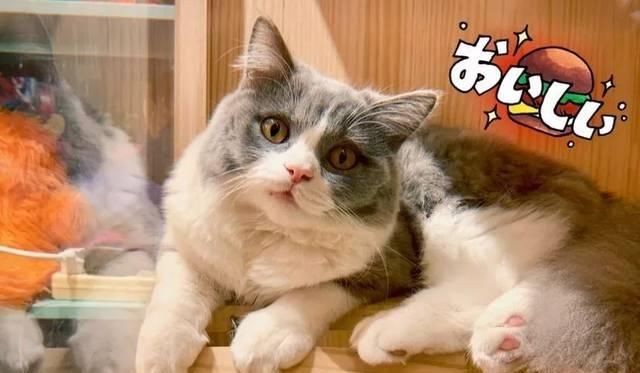 广州市商铺出租