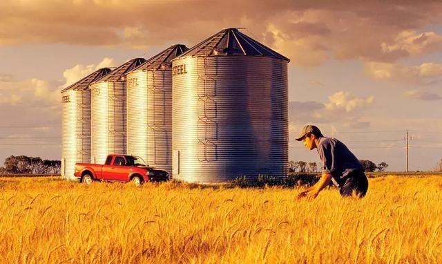 2018年粮食收储政策怎么变？