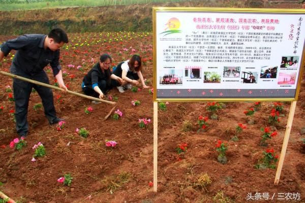 今年，农村要从3方面进行整改，部分农民能直接分钱，有你家吗？