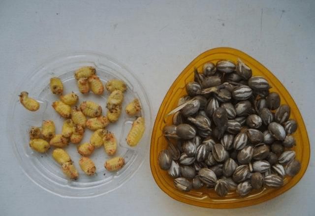 一个80后农村孩子的童年-吃喝玩乐