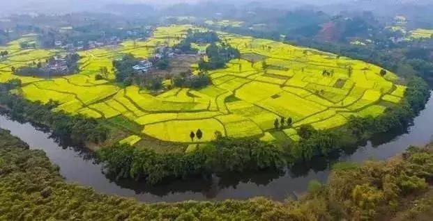 春天看油菜花，在四川不可错过这些金色花海！