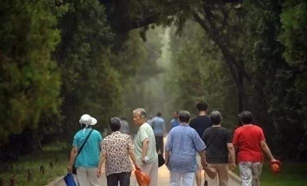 工伤保险待遇申请表