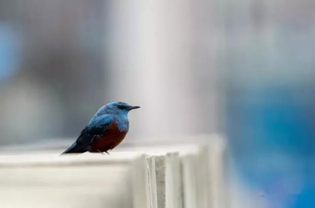 碧海蓝天，去这个小众海岛坐拥漫天繁星，寻觅一个隔世美梦!