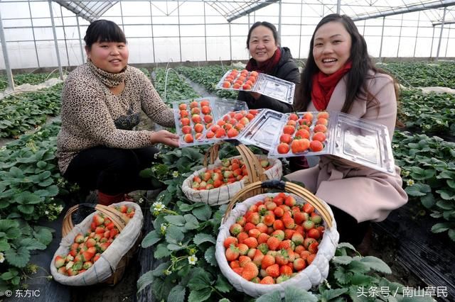 干货不要钱,教农村人如何零基础开网店?把自己