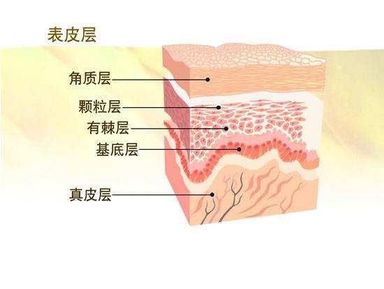 那些关于孕妇使用护肤品的谣言，一定要用手撕！