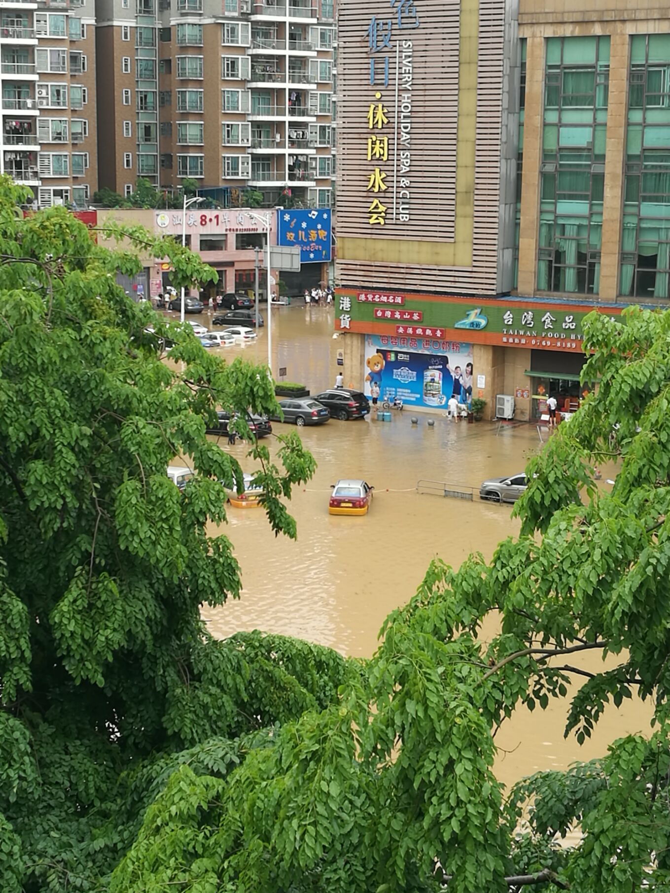 来东莞常平看海，顺便感受一波无良司机的情怀