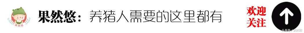 6块钱的猪价让养猪人怎么过年？送农民几幅对联我们来年再战！