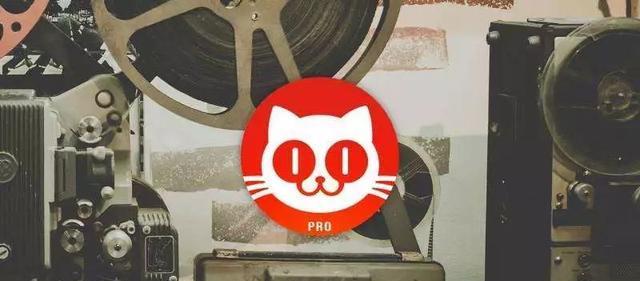 猫眼专业版劳动节罢工,复联4票房失联两个小