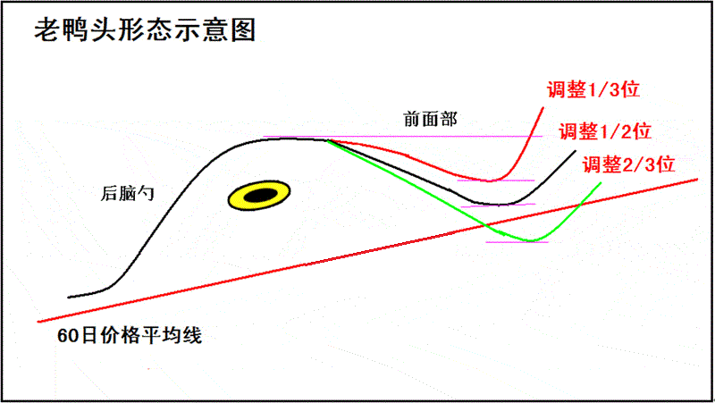 全国炒股大赛冠军讲解黑马股诀窍，简单实用，稳赚不亏，快速收藏