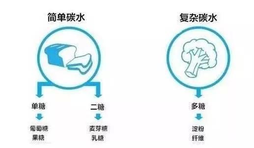 健身怎么吃丨主食变胖?最适合的慢碳都在这里