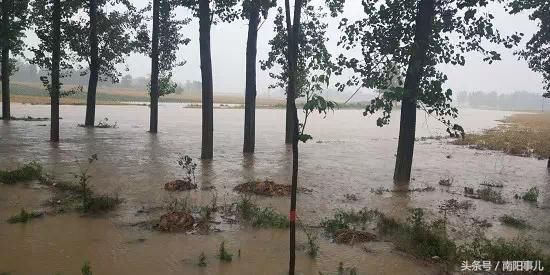 暴雨来袭，南阳这个地方水位上涨1.2米，快看是哪里?