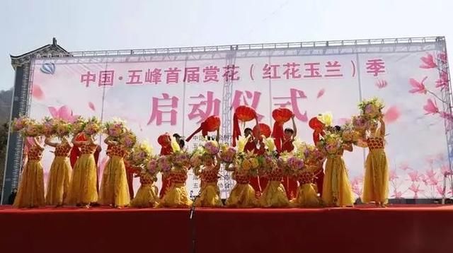 三月花开正艳,宜昌各地踏青赏花活动异彩纷呈