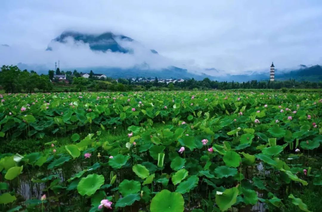 中国首个气候宜居城市为什么是建德?权威专家