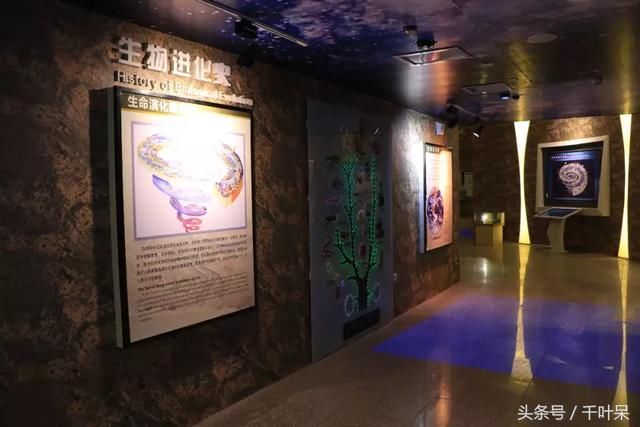 五一小长假，达州这个国家级地质博物馆将免费开放！