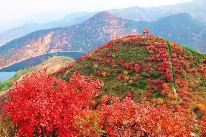 去了这几个地方，才能说去过山东!