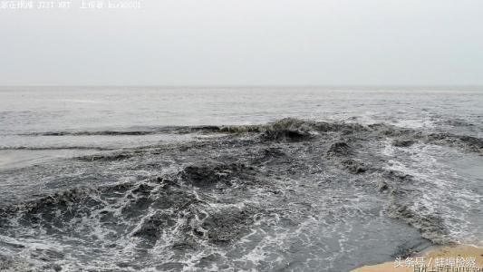 全国首例支持起诉海洋生态公益诉讼案宣判