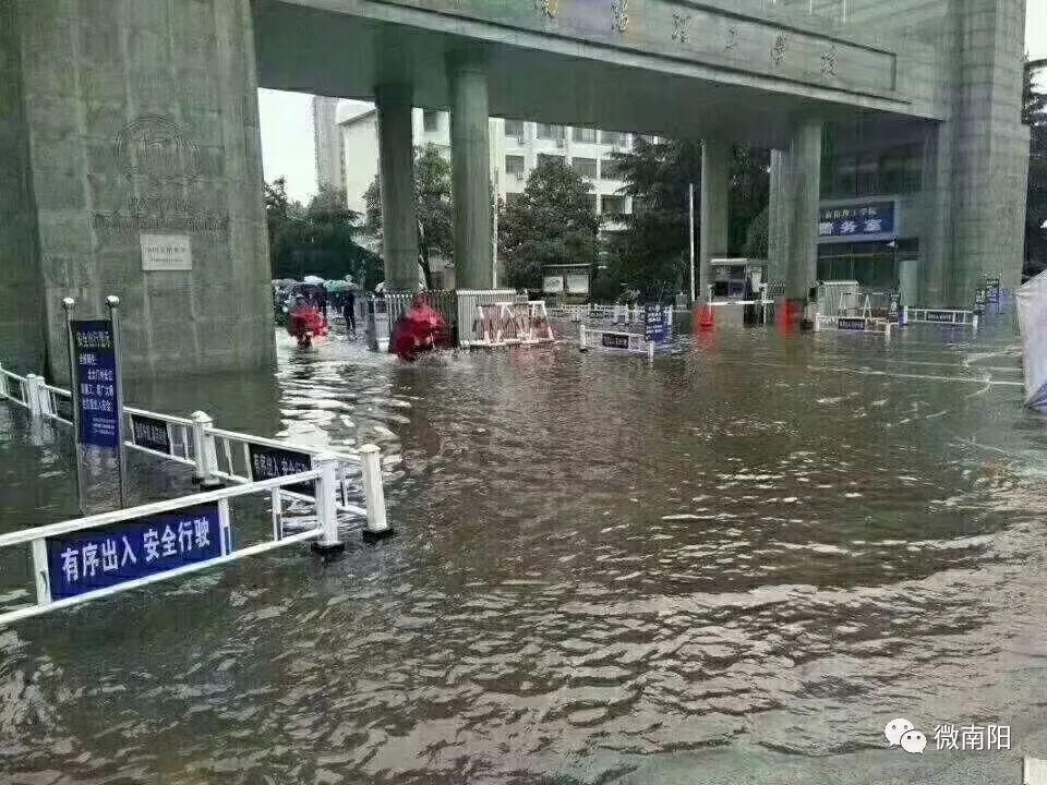 暴雨突袭南阳变水城!有人街上逮鱼，有人开推土机接媳妇!