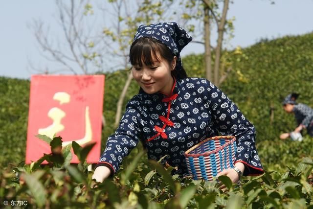 9年蝉联“中国十大宜居城市”河南这个城市的人民要骄傲了