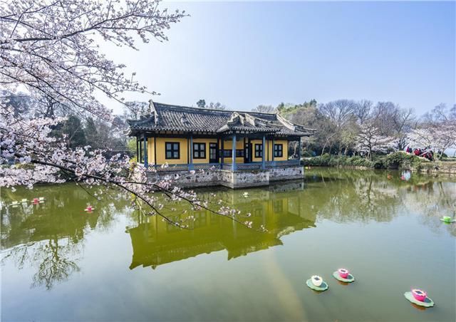 江苏省最低调的旅游城市,几十年前被几市围剿,如今靠一景点翻盘