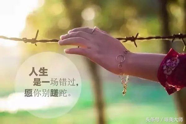 总有一个人，温暖你生命