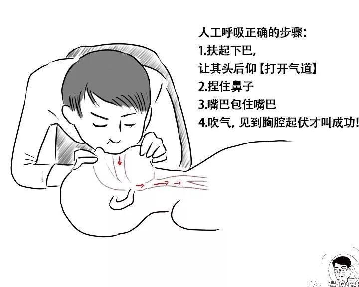 普吉岛翻船事故的反思,若不幸落水这几招可以