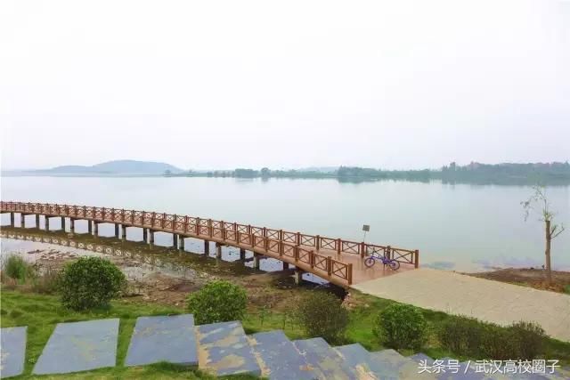 武汉30个春游免费景点大集合!踏青、骑行、拍照来这里就对了!
