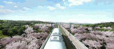 高铁来了!我们的生活改变了……第一站:曲靖