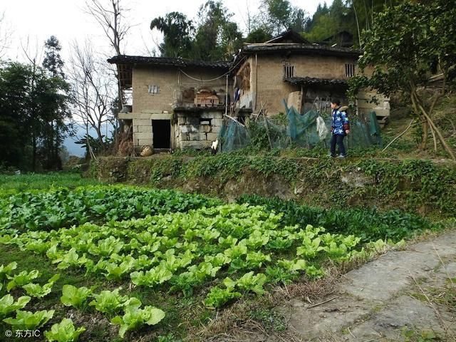 农村土地分类有讲究，三大类若干小类各不同