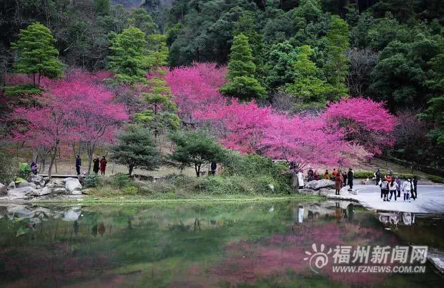 为什么说，今年春节要来福州过年？