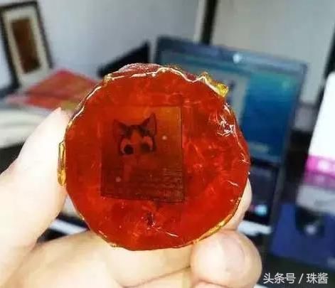 虫珀算什么？我的琥珀里有只猫！