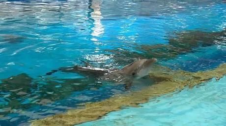 立夏已过，记者小迟给你一份龙江旅游攻略！