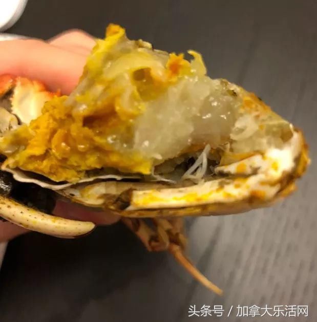 温哥华大闸蟹来了！还带着皮皮虾、越南膏蟹、蚕蛹