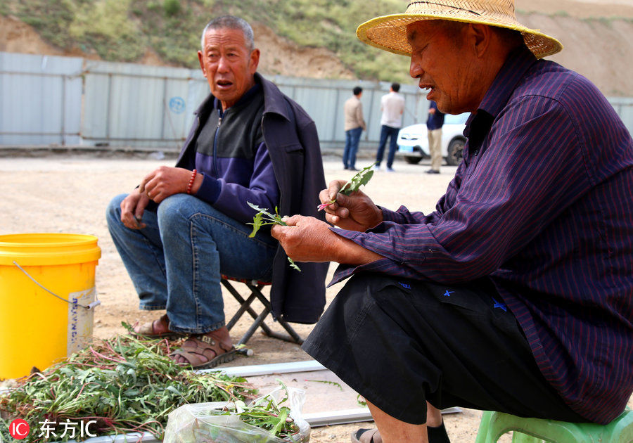 甘肃皋兰被钦点的“削山造地”工程 欠下数亿工程款后烂尾!